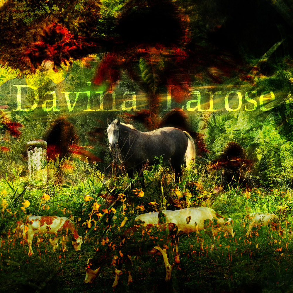 Album cover for project